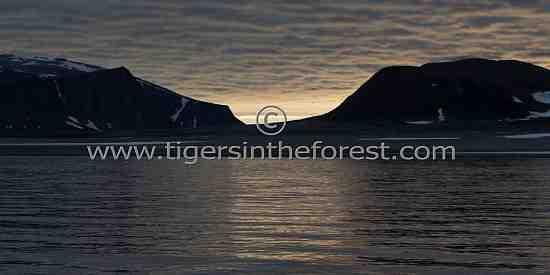 Arctic landscape