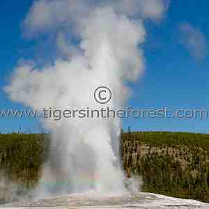 Scenes from Yellowstone and the Tetons.